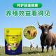 Live bacterial peptides for cattle and sheep to enlarge the skeleton and promote growth. Veterinary calves and lambs are enlarged and fattened. Feed additives. 3 bags to supplement trace elements.
