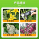 98% ethanol DA-6 improves chlorophyll, drought resistance, cold resistance, flower preservation, fruit promotion, plant growth regulator 1000g