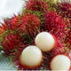 Rambutan seeds are sown in all seasons for balcony potting and small yard planting. Simple and high-yielding fruit and vegetable seeds. Authentic rambutan seeds, also known as hairy lychees, original, delicious, sweet and sour, rich in nutrients (30 capsules) and easy to manage.