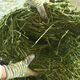 Alfalfa hay, fodder for cattle, sheep and horses, alfalfa fodder for alpacas, large zoo feed, alfalfa 10kg