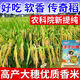 2025 newly approved strong-flavor silk seedlings rice seeds, ultra-high yield, lodging resistance, high temperature resistance, rice koji original, recommended by big users, Yufeng silk seedlings, safe planting/guaranteed after-sales, high-quality fragrant rice, ten Jin Jin is equal to 0.5 kg + seed dressing agent, affordable package, selected by big users