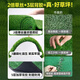 Renowned in Jiuzhou, simulated lawn carpet, fake turf bedding, plastic outdoor artificial court, artificial fence, artificial turf, 1 meter wide * 5 meters long, grass height 2 cm