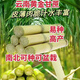 (Authentic) Yunnan golden sugarcane tail heads, crispy yellow-skinned sugarcane cold-resistant seedlings, thin-skinned, planted in the north and south Yunnan golden sugarcane seed heads (varietal Guangdong Cui) 10 pieces each with 3-5 buds