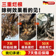 Powerful big tree root rot agent, special for removing big trees, one drop of dead tree king, rotten tree root removal, bamboo root rot agent powder, powerful root rot agent 250ml *2 bottles