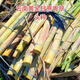 (Authentic) Yunnan golden sugarcane tail heads, crispy yellow-skinned sugarcane cold-resistant seedlings, thin-skinned, planted in the north and south Yunnan golden sugarcane seed heads (varietal Guangdong Cui) 10 pieces each with 3-5 buds