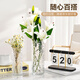 Jin Longxing light luxury glass transparent vase large-diameter ornaments living room flower arrangement creative art hydroponic water-cultured roses and tulips