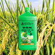 Sanliu Shanghai Tongrui 3% gibberellic acid gibberellin 920 fruit and vegetable weight-increasing seedlings and yield-increasing plant growth regulator 100ml/bottle