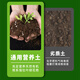 Lima universal nutritional soil for flower cultivation and flower fertilizer planting soil flower soil fertilizer vegetable soil potted green plant special soil 50L
