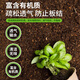 Lima universal nutritional soil for flower cultivation and flower fertilizer planting soil flower soil fertilizer vegetable soil potted green plant special soil 50L