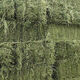 Alfalfa hay, fodder for cattle, sheep and horses, alfalfa fodder for alpacas, large zoo feed, alfalfa 10kg