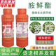 Guoguang Youlehong 8% ethylamine, cabbage and corn to promote rooting and seedling development, plant growth regulator 500ml