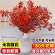 Ding diced Australian wintersweet flowers hydroponically grown fresh branches and dry branches indoor flower arrangement New Year's Eve flower plants New Year real flowers fresh cut wintersweet red series festive red 5A grade Australian wintersweet-60-80cm 8 branches