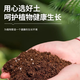 Nutrient soil, universal organic soil, household potted succulent flower and vegetable cultivation, special soil for flower cultivation, peat soil, universal nutrient soil for flower cultivation and vegetable cultivation, 20 Jin Jin is equal to 0.5 kg