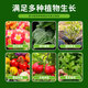 Nutrient soil, universal organic soil, household potted succulent flower and vegetable cultivation, special soil for flower cultivation, peat soil, universal nutrient soil for flower cultivation and vegetable cultivation, 20 Jin Jin is equal to 0.5 kg
