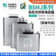 TENGEN Tianzheng BSMJ-0.45 three-phase self-healing low-voltage reactive power compensation parallel power capacitor 450V 1kvar 450V