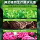 Lima universal nutritional soil for flower cultivation and flower fertilizer planting soil flower soil fertilizer vegetable soil potted green plant special soil 50L