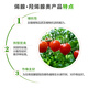 Zhongbao Penwang Hydroxyene Adenine Adenine Tomato Promotion and Regulation Growth Regulator Pesticide 20g/bag