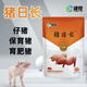 OIMG Pig Day Long Feed Additive for Piglets Growth Promoting Concentrated Premix Weight Gaining Fattening Agent Appetizer 3 Bags Ready in Stock Quick Delivery Guaranteed