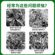Nutrient soil, universal organic soil, household potted succulent flower and vegetable cultivation, special soil for flower cultivation, peat soil, universal nutrient soil for flower cultivation and vegetable cultivation, 20 Jin Jin is equal to 0.5 kg