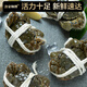 Live Crab Fisherman Master Hairy Crab Whole Female 2-2.3 Liang 6 pieces without rope full weight fresh crabs fresh spot seafood New Year gift box sent directly from the source