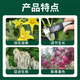 Zheng's Chemical 98% Sodium Nitrophenolate Original Powder Genuine Rooting, Strengthening Seedlings and Increased Yield Agricultural Flower and Fruit Preserving Plant Growth Regulator Quanfeng 98% Ammonium Ester 10KG