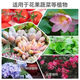 Chemical Fertilizer Stanley Compound Fertilizer Vegetables Nitrogen, Phosphorus and Potassium Universal Fertilizer for Growing Vegetables Household Potted Fruit Trees Organic Compound Fertilizer Ziplock Bag Special Fertilizer for Fruits, Vegetables and Flowers <3Jin Jin is equal to 0.5kg>