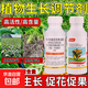 14 HydroxyBrassinosteroid Plant Growth Regulator Fruit Trees and Vegetables Increase Production Genuine Foliar Fertilizer Promotes Flowering and Fruit 2 Bottles
