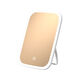 Dameishaji LED makeup mirror with light fill-in female folding Internet celebrity student ins style small mirror dormitory desktop portable dressing mirror 15-inch three-color stepless dimming charging model comes with charging cable