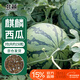 Beishu watermelon seed seedlings rock sugar unicorn 8424 potted watermelon seeds rock sugar unicorn melon seeds about 150 pieces