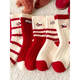 Shixi Qingchen Premium Red Australian Velvet Socks Embroidered Puppy Mid-Tube Socks Plus Velvet Thickening Warm Cute Home Sleeping Socks Red One Size Standard