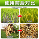 Barometer Golden Autumn 10% Prohexadione Calcium Growth Regulator Peanut Growth Regulator Genuine Pesticide Peanut Special Agent 100g*50 bottles Whole box discount Save 20 yuan