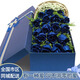 Laiji Valentine's Day flower express rose gift box bouquet to express love to girlfriend birthday gift nationwide delivery 19 blue enchantress gift box never fades love