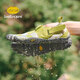 Vibram amphibious five-finger shoes water sports surfing kayak barefoot casual five-finger shoes gripping wading and river tracing shoes black 37