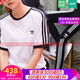 阿迪达斯 （adidas）女装套装秋季新款运动服立领夹克外套上衣休闲裤束脚长裤 两件套 JE6173+JD6522/梭织 XS/155