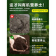 Flower soil nutrient soil for flower cultivation, general vegetable planting soil, household type flower soil, loose and breathable strawberry succulent nursery soil, general organic nutrient soil 40Jin, equal to 0.5kg