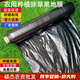 Ground black mulch plastic film for agricultural planting thickened anti-aging weeding insulation moisturizing and anti-weed greenhouse fruit tree greenhouse 11Jin Jin is equal to 0.5 kg black 1 silk thick 1.5 meters wide 300 meters long field style