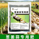 Special sulfur-enhanced granules for onions, ginger and garlic, slow-release to promote root enlargement, stronger spicy flavor, base fertilizer for the entire application process, special fertilizer for onions, ginger and garlic 200g*1 bag