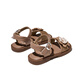 Red Dragonfly Girls Shoes 2026 Summer Children's Beach Shoes Princess Soft Sole Breathable Casual Sandals Q62BL006 Brown 31