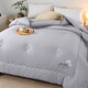 Arctic velvet quilt winter quilt core soy fiber quilt core thickened to keep warm spring and autumn quilt double quilt dormitory single four seasons cotton linen soy quilt - gray 200*230cm (thick winter quilt about 10 Jin [Jin equals 0.5 kg])