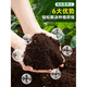 Nutrient soil, nutritious soil, universal soil for growing vegetables, special soil for household use, loose and breathable soil for strawberry succulent seedlings, universal organic nutritional soil 40Jin Jin is equal to 0.5kg