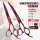 Xuanniao pet scissors household dog hair cutting curved scissors trimming shearing scissors pet grooming scissors tool set purple (straight scissors + curved scissors)
