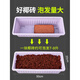 Flower soil coconut brick nutritious soil universal type for growing flowers and vegetables desalination flower soil brick large turtle crawling pet mat potted plant imported 4 pieces of bare bricks unlimited purchase fast soaking and expansion
