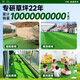 14-pin extra dense high-end artificial artificial fake lawn plastic lawn carpet fake turf outdoor matting balcony green boundary dense velvet model 2 cm thick 2 meters wide * 7 meters long