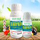 Yinghuan stem root rot eradication medicine, rotten roots and dead seedlings, soil rooting and root rot resurrecting root rot root rot agent, 10 bottles of 500ml, free 20 bags of foliar fertilizer