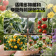 Universal soil nutrient soil 100 Jin Jin is equal to 0.5 kg. General special flower soil for growing vegetables and flowers. Loose and breathable soil for seedlings. 200 Jin Jin is equal to 0.5 kg. Universal organic nutrient soil is Jin Jin is equal to 0.5 kg. Full compensation for damage. No odor. No insect eggs.