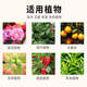 Universal nutrient soil 100 Jin Jin is equal to 0.5 kg Nutrient soil special potted plant for growing flowers and vegetables Universal loose and breathable soil family Refined 100 Jin Jin is equal to 0.5 kg (Special for flower cultivation) Jiangsu, Zhejiang, Shanghai, Anhui and Guangdong regions Chi Jin shot Ming Fa