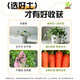 Universal soil nutrient soil 100 Jin Jin is equal to 0.5 kg. General special flower soil for growing vegetables and flowers. Loose and breathable soil for seedlings. 200 Jin Jin is equal to 0.5 kg. Universal organic nutrient soil is Jin Jin is equal to 0.5 kg. Full compensation for damage. No odor. No insect eggs.