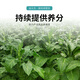 Yonghuan Yandi Conditioning Bao flue-cured tobacco planting conditions soil hardening, regulates acid and alkali, promotes the development of microbial fertilizers and benefits all living beings 500g*2 bags, guaranteed to use 1 mu of land