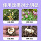 Yonghuan Fengzetong Fritillaria special soil conditioning rooting, strong seedlings and dead trees control soil-borne root rot disease 10 bags get 2 bags free (get 12 bags)