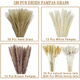 Original idea (CHUGOUXIANG) Yunnan real flower pampas grass whisk dust rabbit tail dried bouquet pampas grass HS37 with box